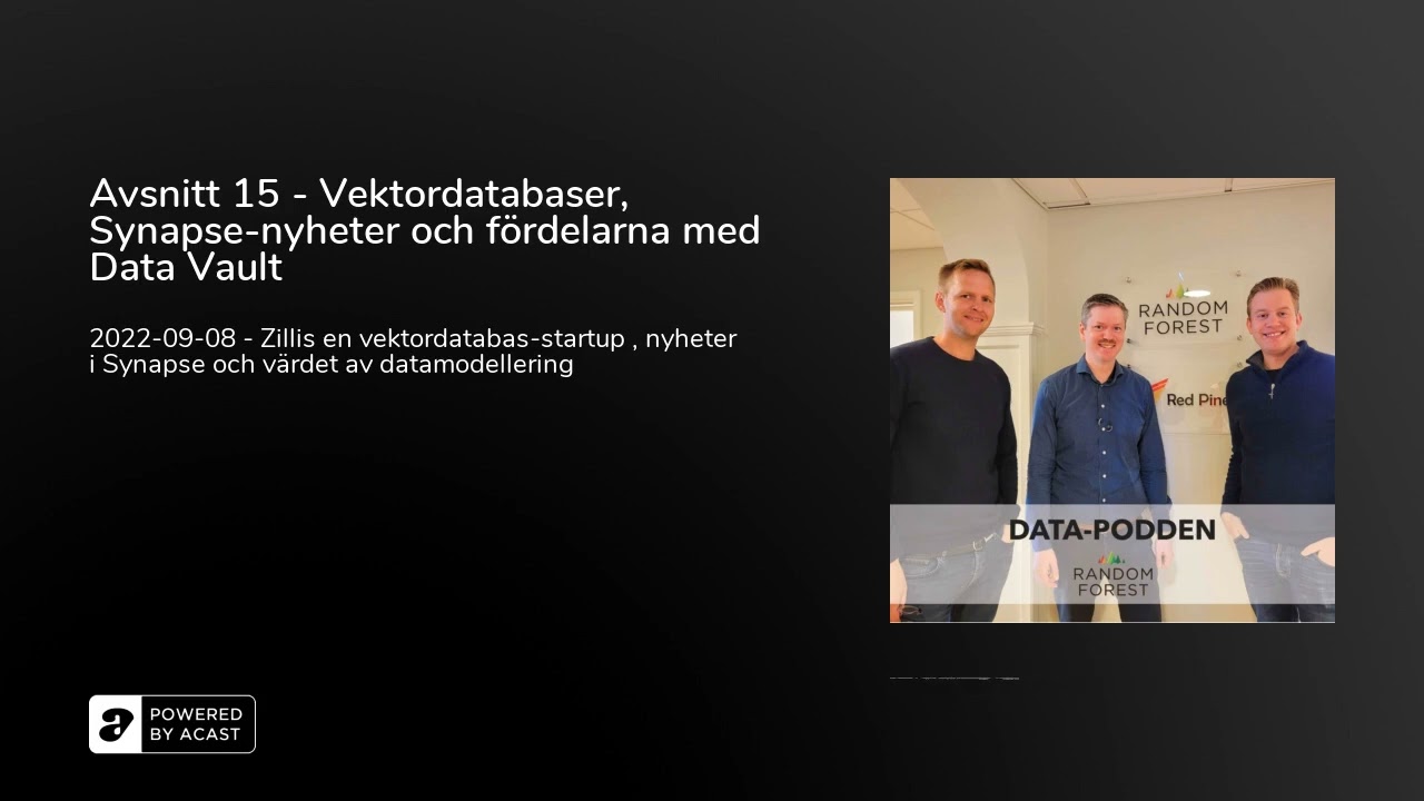 Avsnitt 15 - Vektordatabaser, Synapse-nyheter och fördelarna med Data Vault