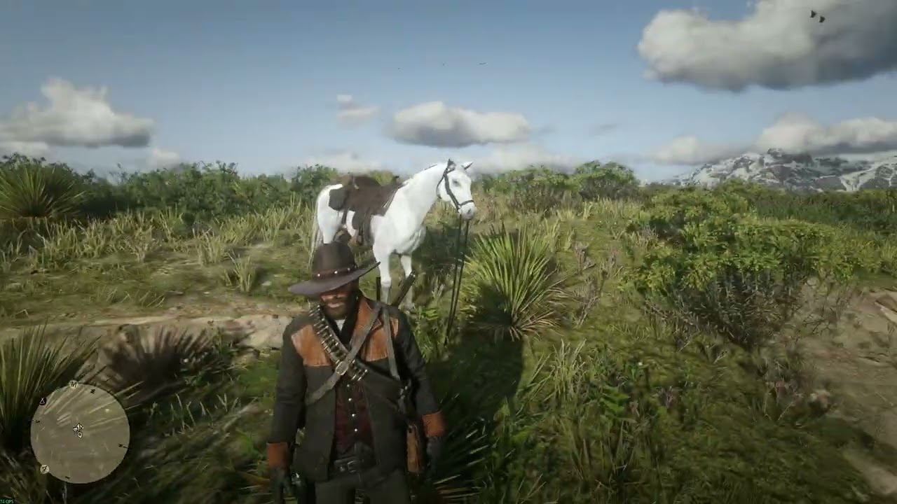 [RX6600 + Ryzen 3600x] - Red Dead Redemption 2