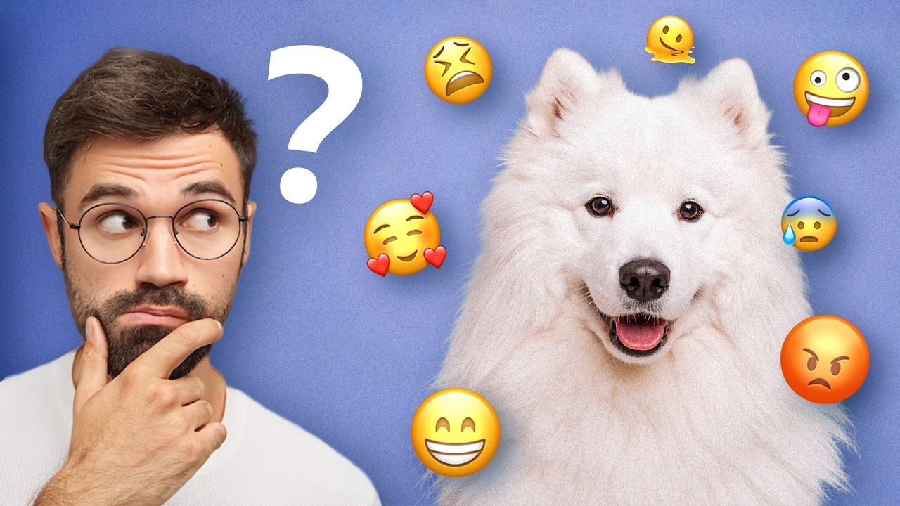 Jak zrozumieć emocje psa ( GUTEK NIE PANUJE NAD EMOCJAMI?)