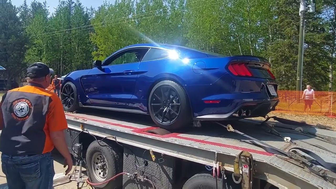 Shelby Gt350 s550 mustang dyno run! #voodoo #coyote #ford #stickshift
