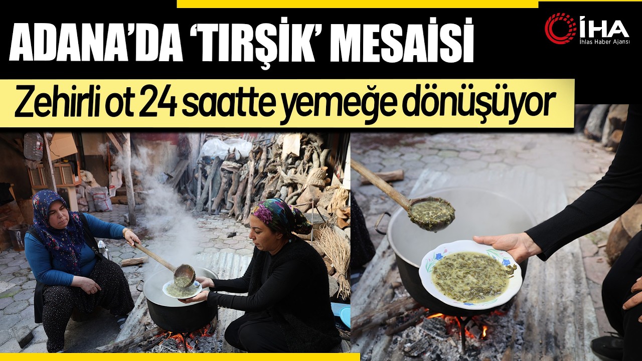 ''Tırşik ''Mesaisi : Zehirli Ot 24 Saatte Yemeğe Dönüşüyor