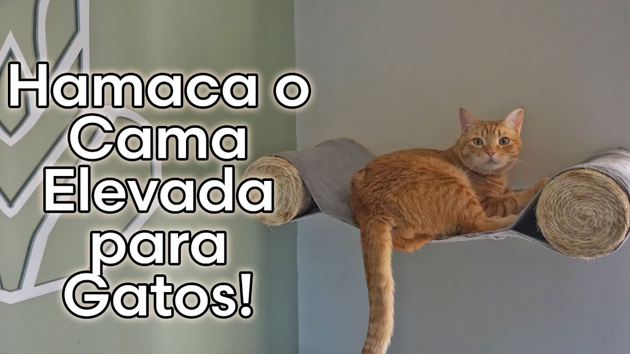 Como Hacer una HAMACA O CAMA ELEVADA PARA GATO 😺