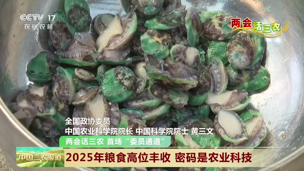 [中国三农报道]两会话三农 首场“委员通道” 2025年粮食高位丰收 密码是农业科技 | 农业致富经 Agriculture And Farming
