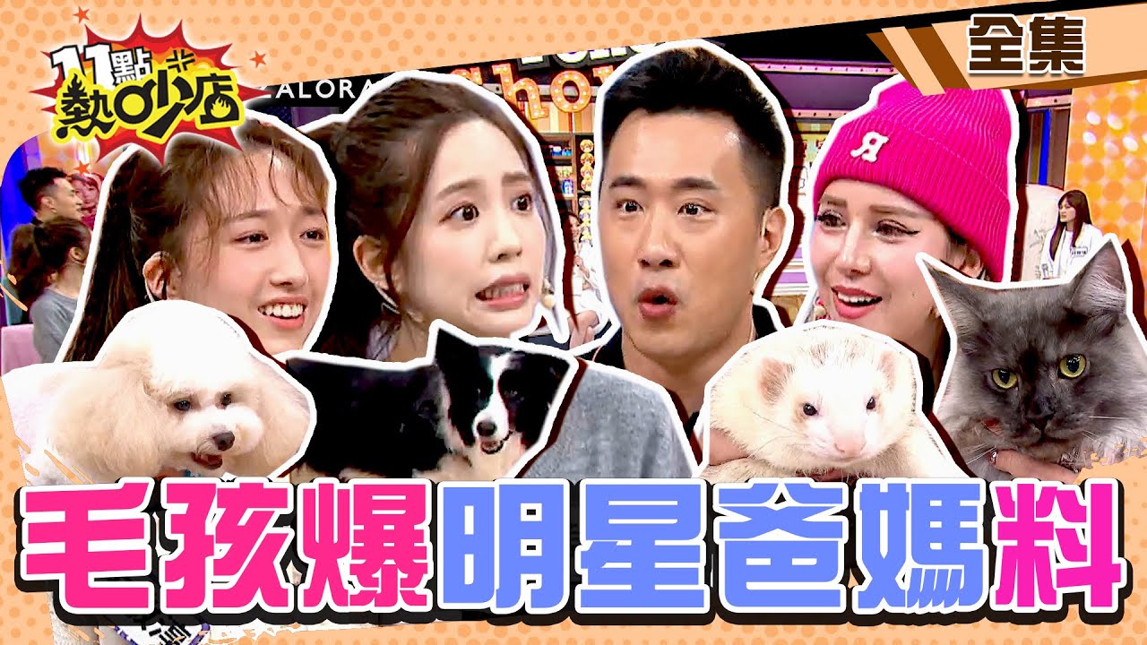 生兒不如養毛小孩！？沒想到牠竟是告密抓耙子…… 11點熱吵店@chopchopshow 20231127 (完整版)│沈玉琳、Melody、荳荳、若熙娘娘、余祥銓、王敏淳、林襄、單熙汝、林筱瑞、杜莉德