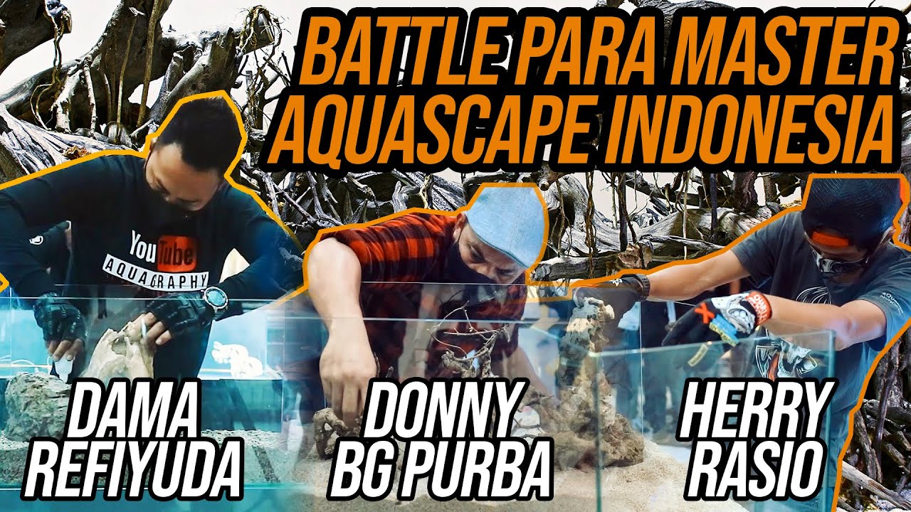 Live Setting Juri Ngayogyakarta Aquascape Kontes 2020 - Herry Rasio - Dama Refiyuda - Donny BG Purba