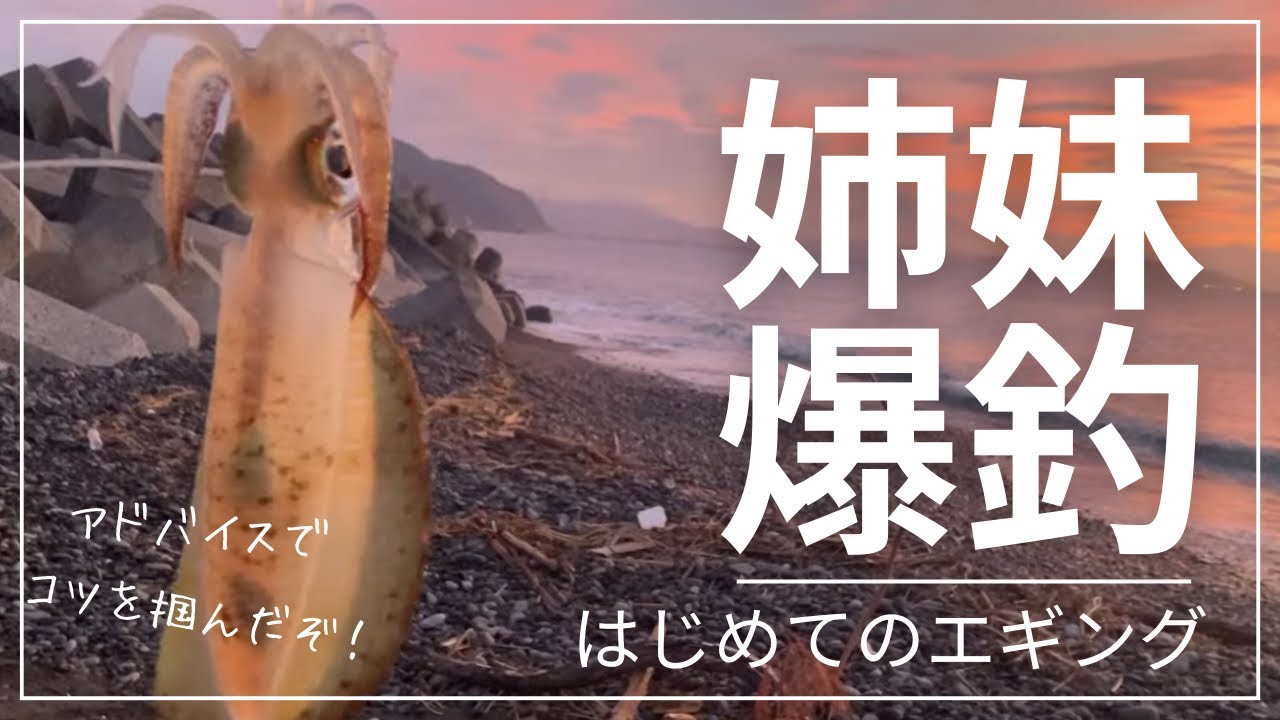 アタリ連発！エギング初心者が1回のアドバイスで開花！in石津浜