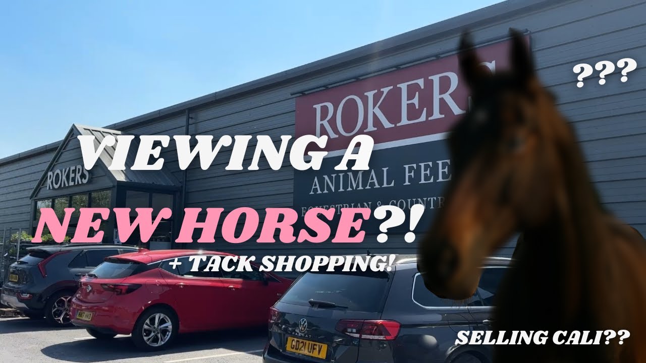 VIEWING A NEW HORSE! + TACK SHOPPING FOR HER