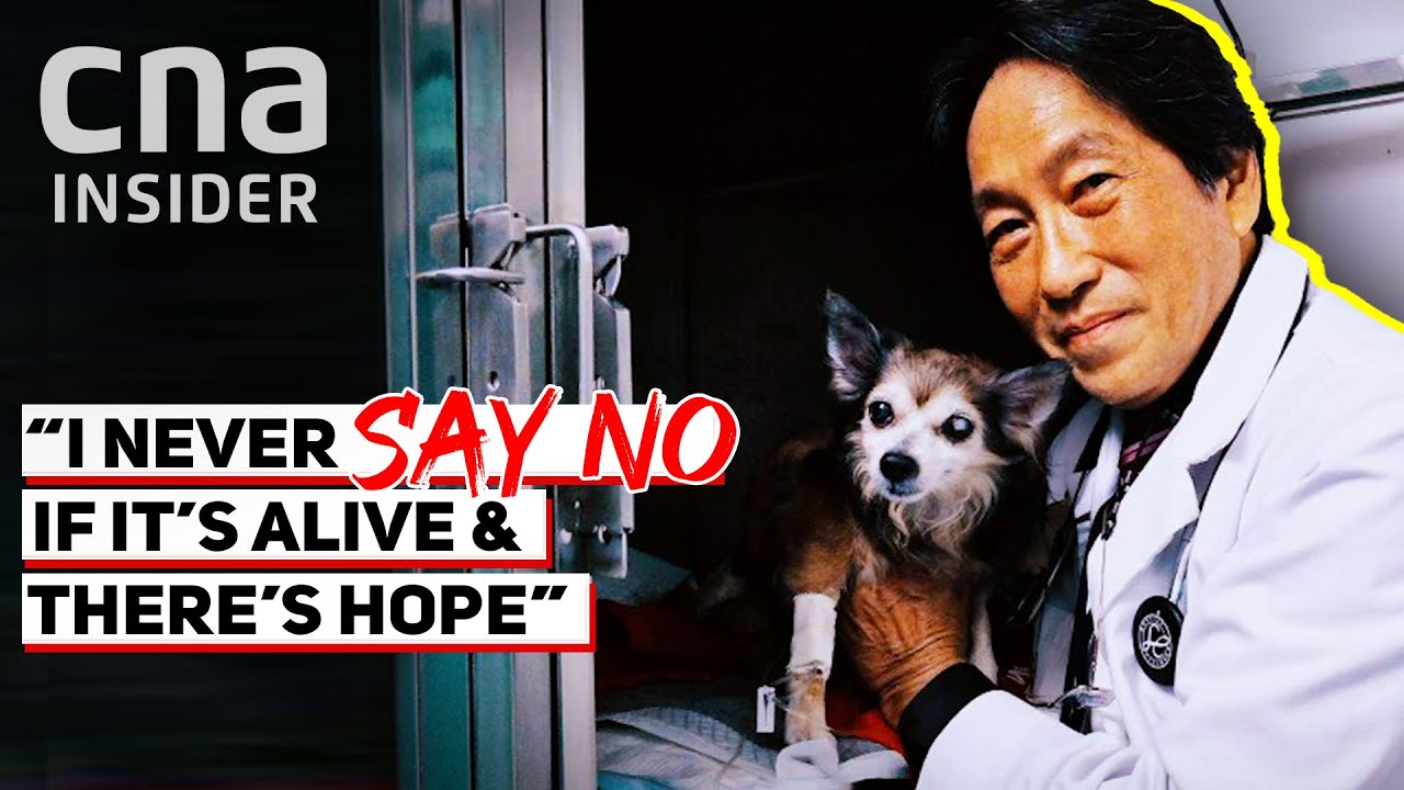 This Vet Is A ‘Last Resort’ For Seriously Ill Pets