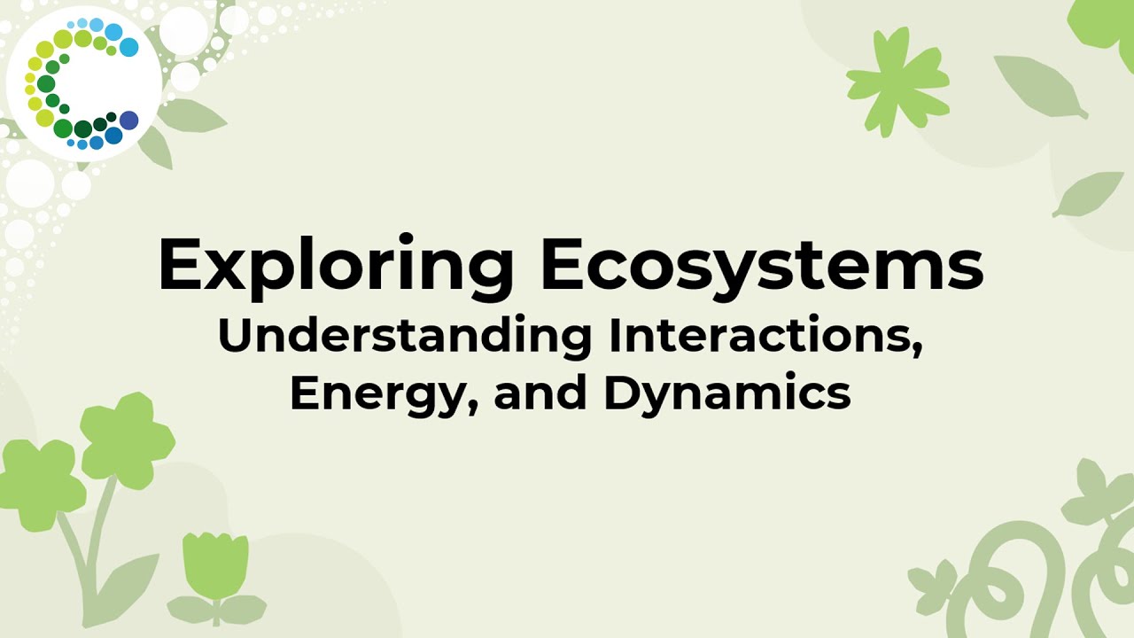 Exploring Ecosystems: Understanding Interactions, Energy, and Dynamics