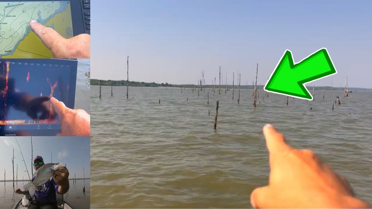 Summer Crappie Fishing, How to Locate Crappie