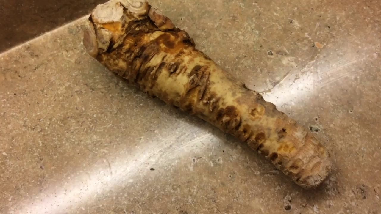 Experiment: Can You Grow Horseradish from Roots from the Grocery Store?
