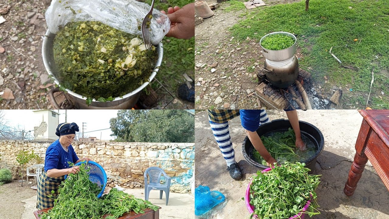 شاركت معاكوم البقولة على الكانون دغيا كتوجد او كتجي صحية أو زوينة 😋 #البادية #اكسبلور #أجواء_الطبيعة