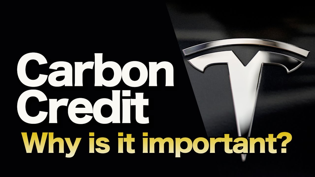 Carbon Credits Explained:How Carbon Credits Drive $1.8 Billion Annually