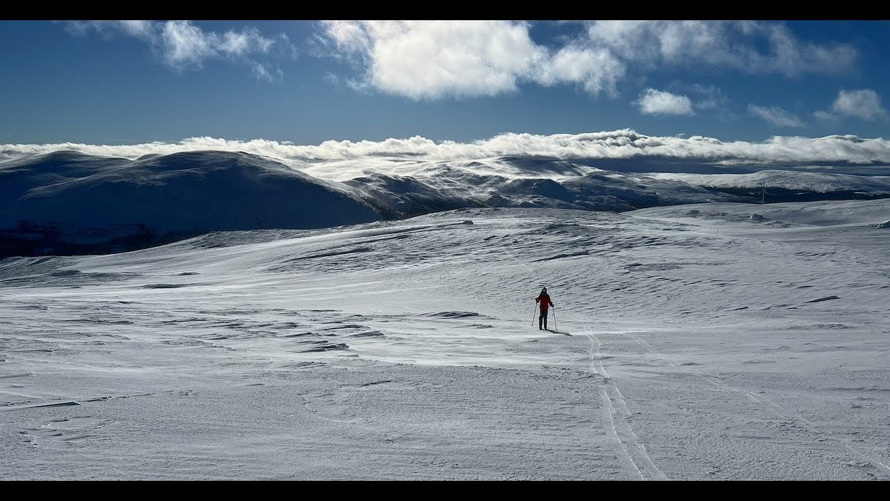 Bydalen 2024