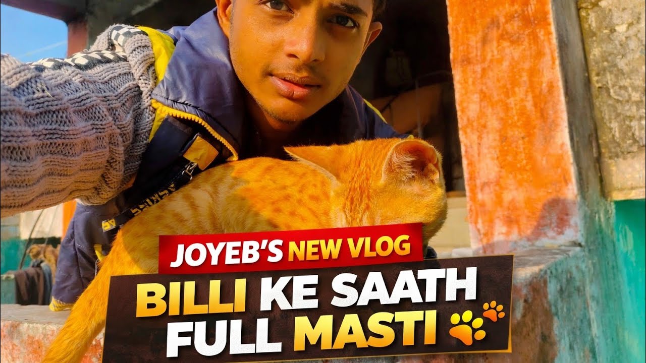 Bille Ke Saath Full Masti 🐱🔥 | Joyeb New Vlog #BilleKeSaath #FullMasti #NewVlog #CatVlog #JoyebVlogs