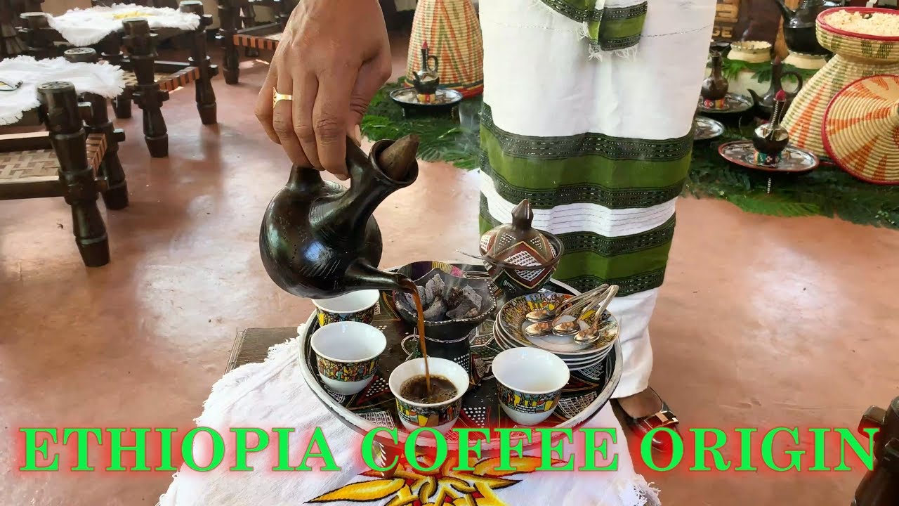 Coffee documentary /Ethiopia Coffee Origin//