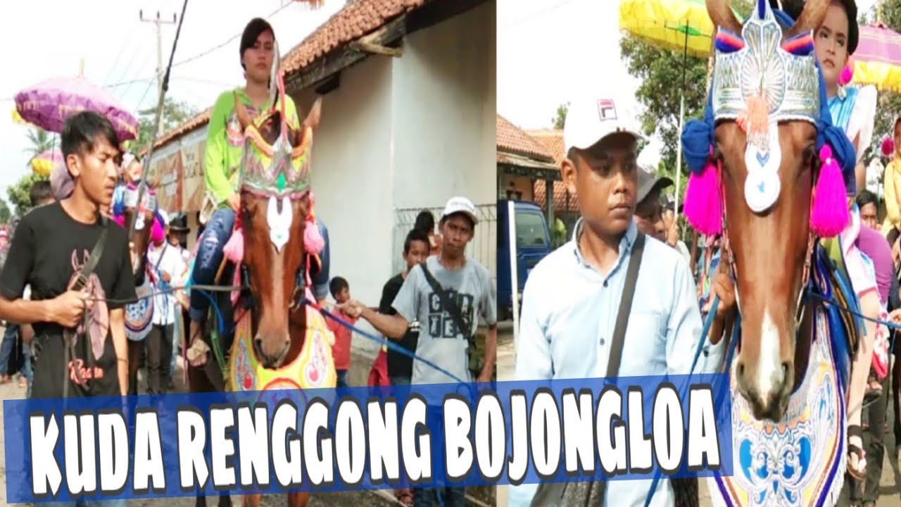 Kuda renggong bojongloa buahdua #2