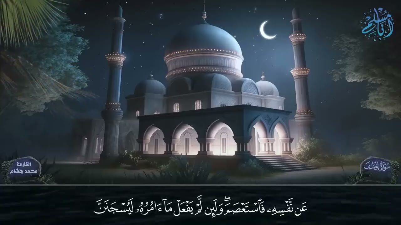 القرآن الكريم ،بصوت هادئ 