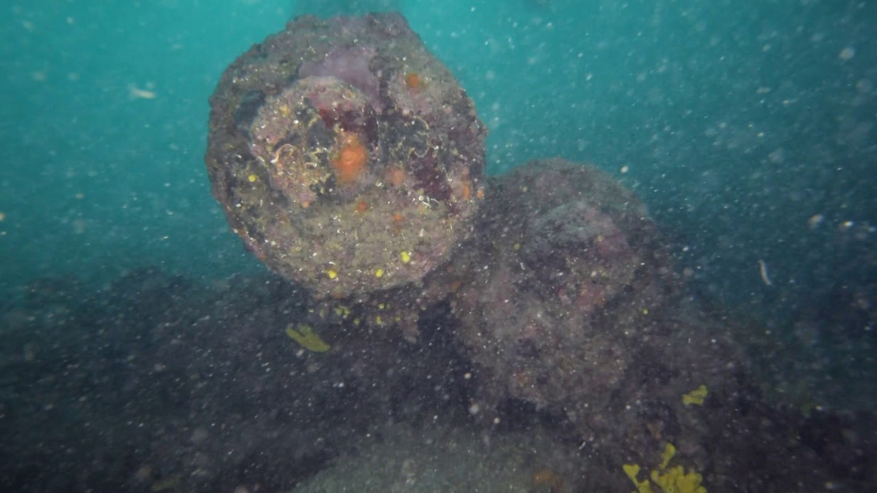 20181229_Plavnik_Cannons_Scuba Diving