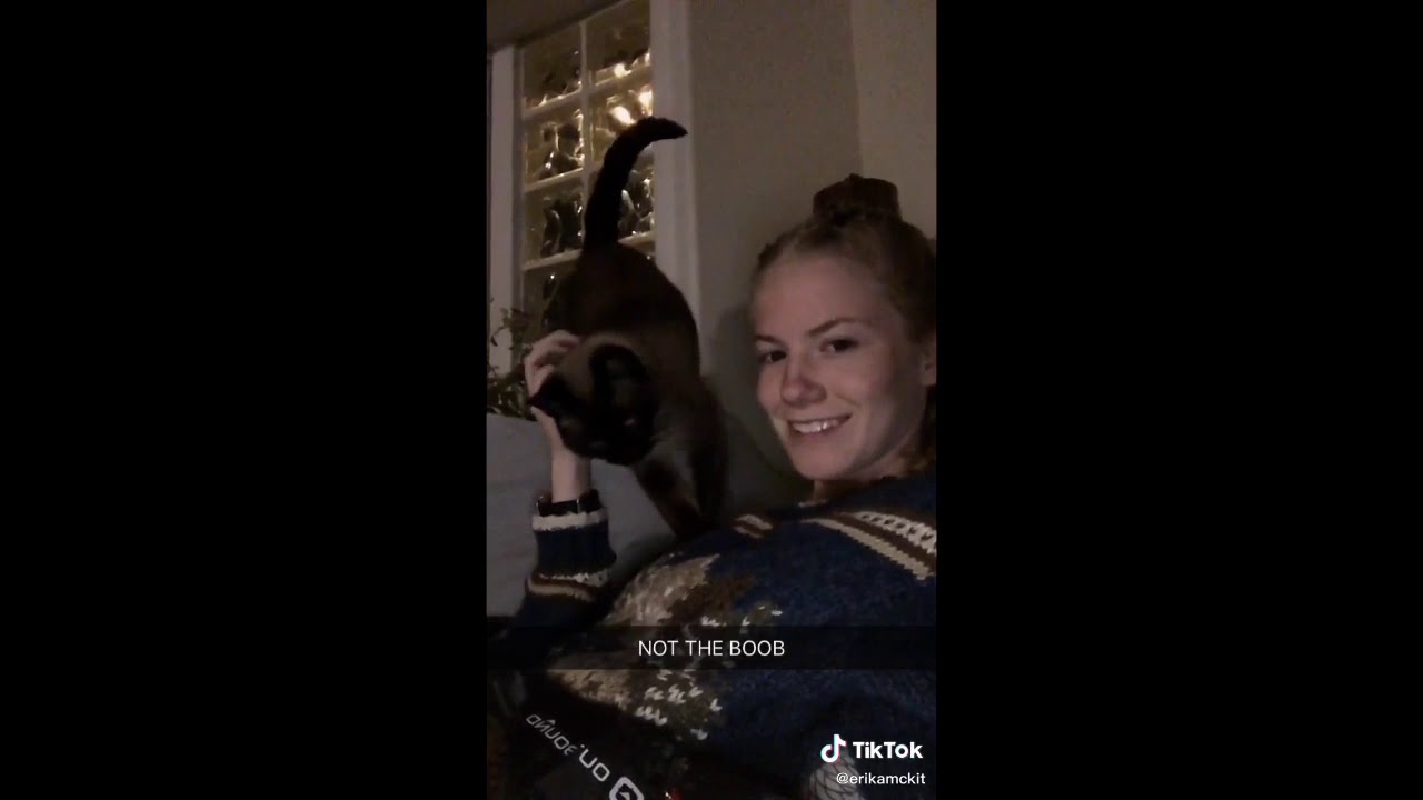 *purrrre* cat tik toks for ABOUT 24 minutes