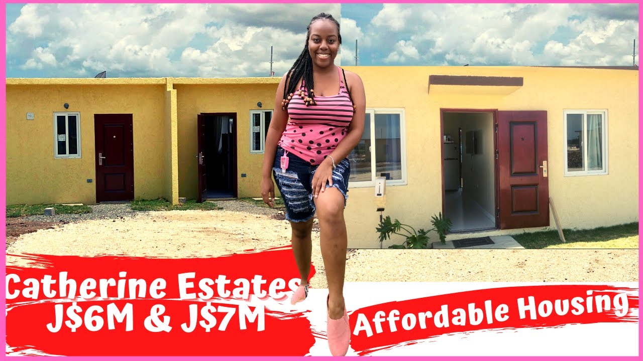 Update on the Catherine Estates Housing Development