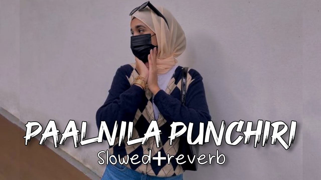 paalnila punchiri - slowed + reverb - vibe soul 2.0