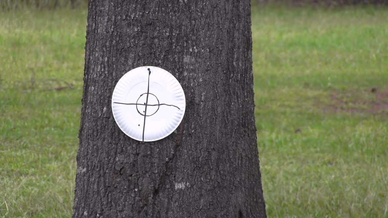 Ruger airhawk  .177 pellet rifle review