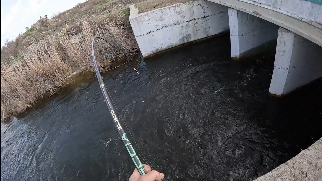 Вода кипит от рыбы. В этой речке полно рыбы.