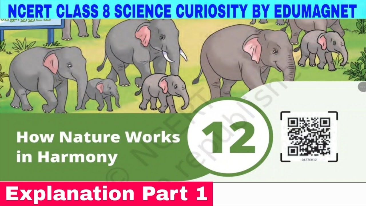Class 8 Science Curiosity Chapter 12 How Nature Works in Harmomy | Part 1 | EDUMAGNET 