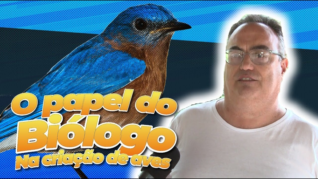 O papel do BIÓLOGO na criação de aves | Peixoto | Pássaros TV