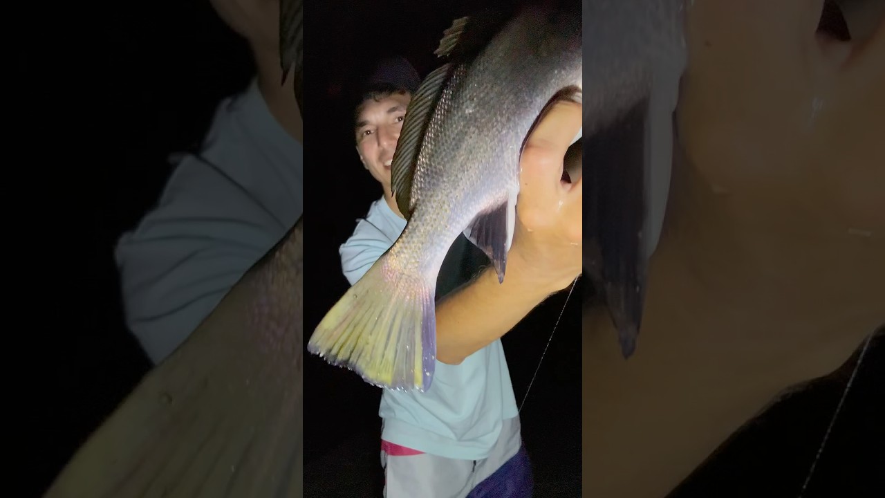 Темный горбыль. Вечерняя рыбалка в Сочи #fishing #рыбалка #сочи #sochi #seafishing #горбыль #croaker