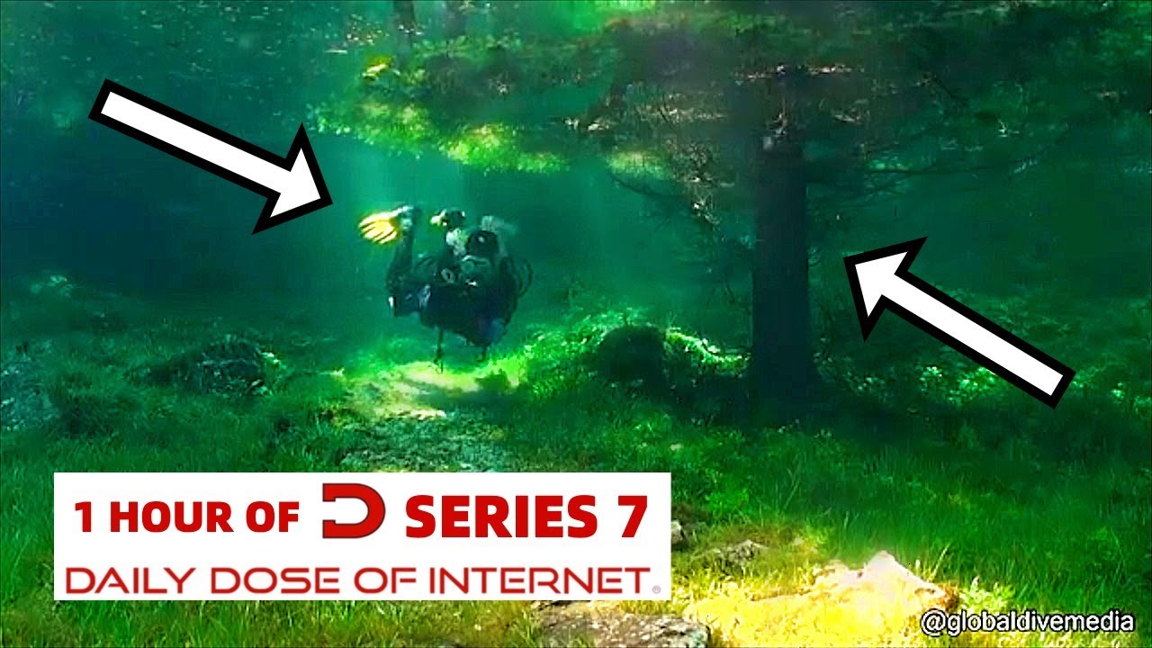 1 Hour Of Daily Dose Of Internet (Part 4)