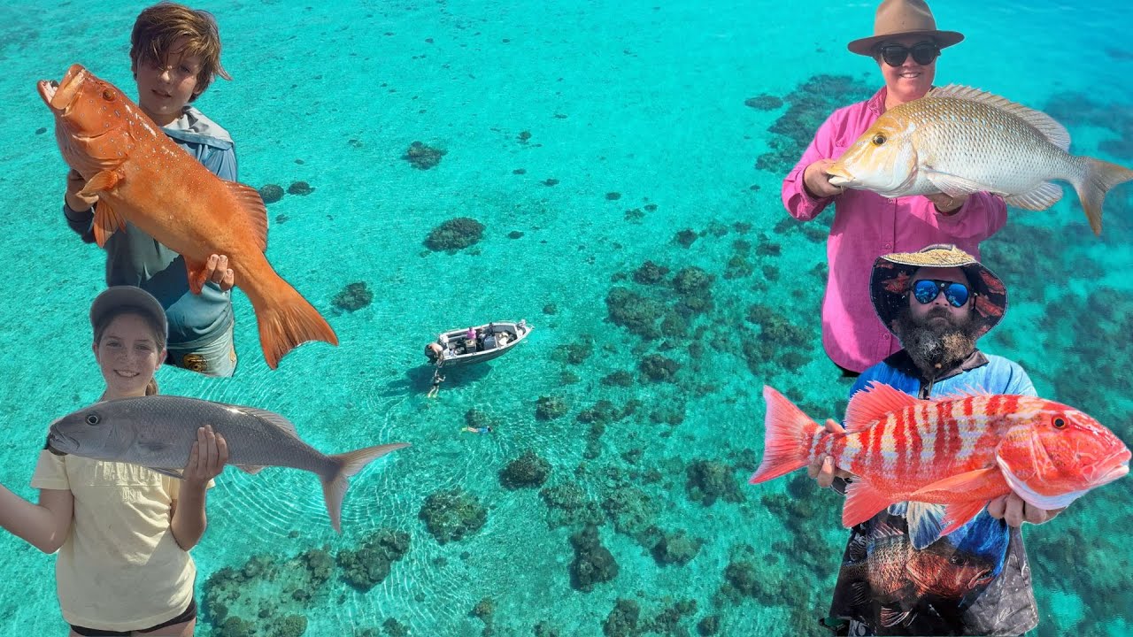 INSANE Reef Fishing Action off Mission Beach