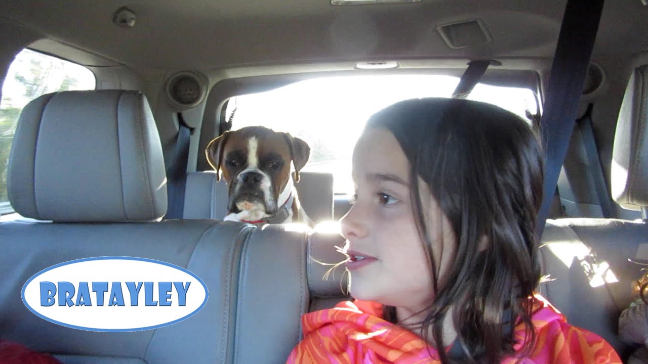 Boxers Go! (WK 196.5) | Bratayley