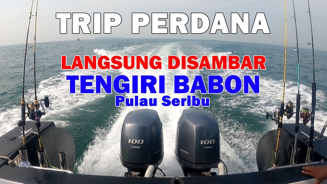 KAPALNYA AMIS Langsung disambar Tengiri Babon || Tes Drive Trip Perdana NAJA Fhising PAS Angler
