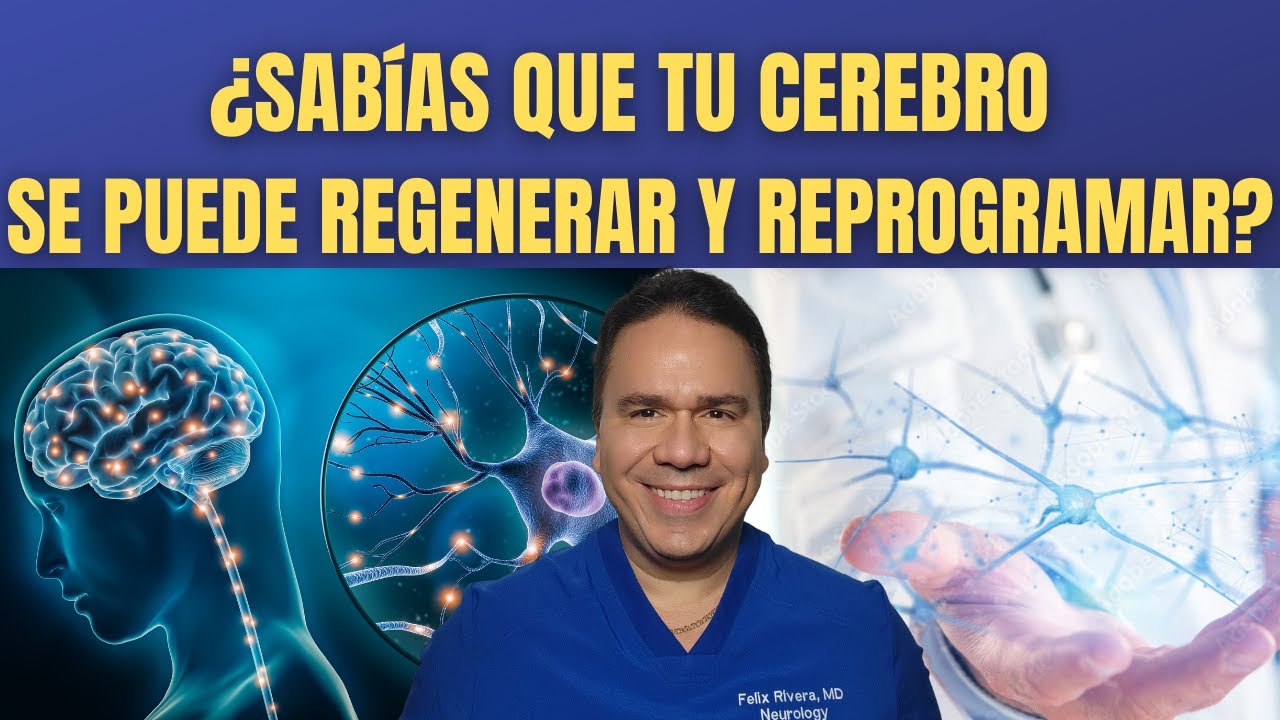 La Plasticidad Cerebral, Como el Cerebro se Puede Reprogramar