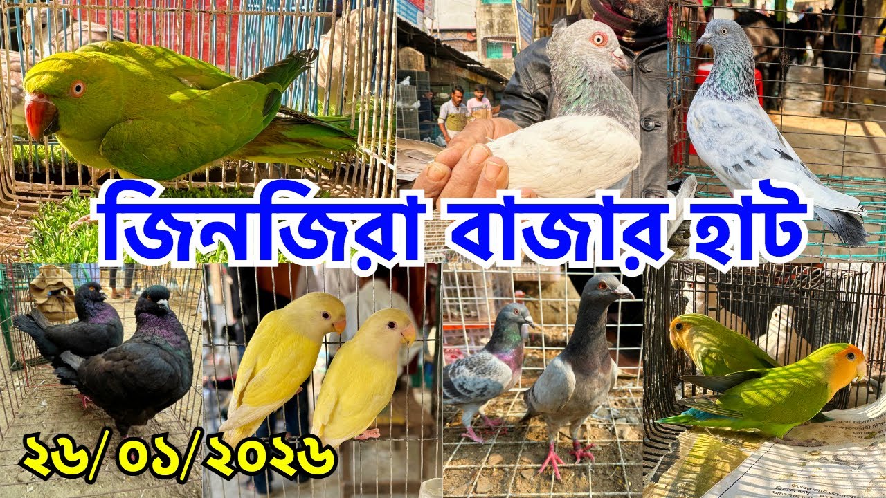 ঢাকার অন্যতম ছোট পুরাতন হাট | জিনজিরা বাজার হাট | সোমবার ও শুক্রবার | Zinzira Bazar Kobutor Haat#871