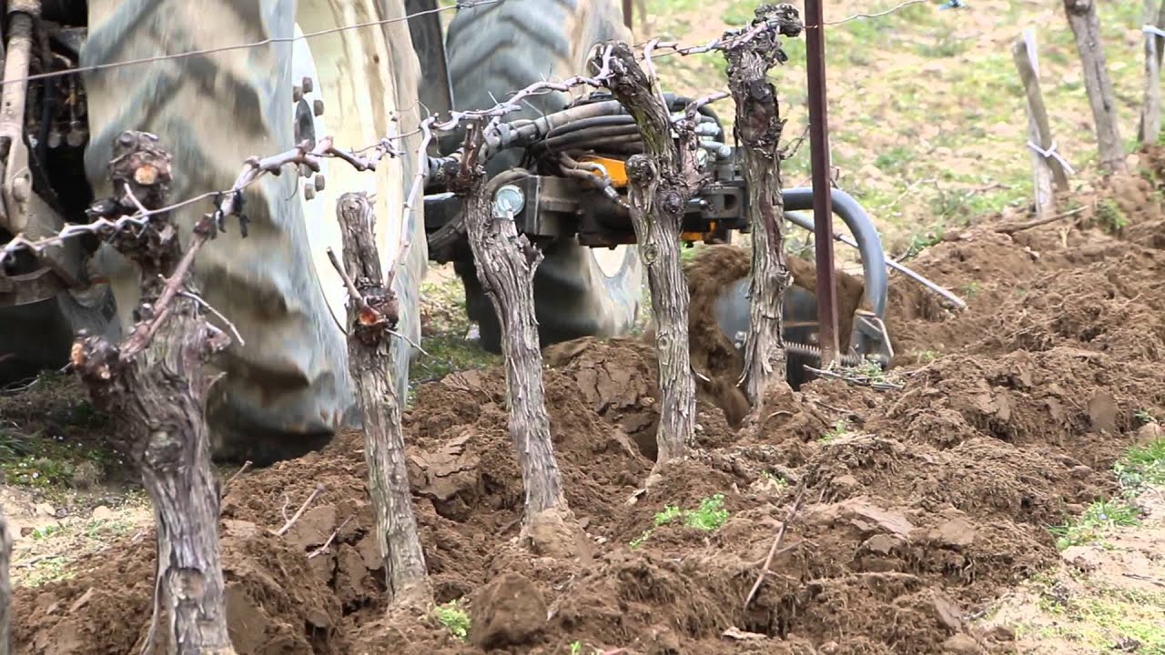 Decavaillonneuse interceps ORIZZONTI en viticulture installé sur un MITO ventrale