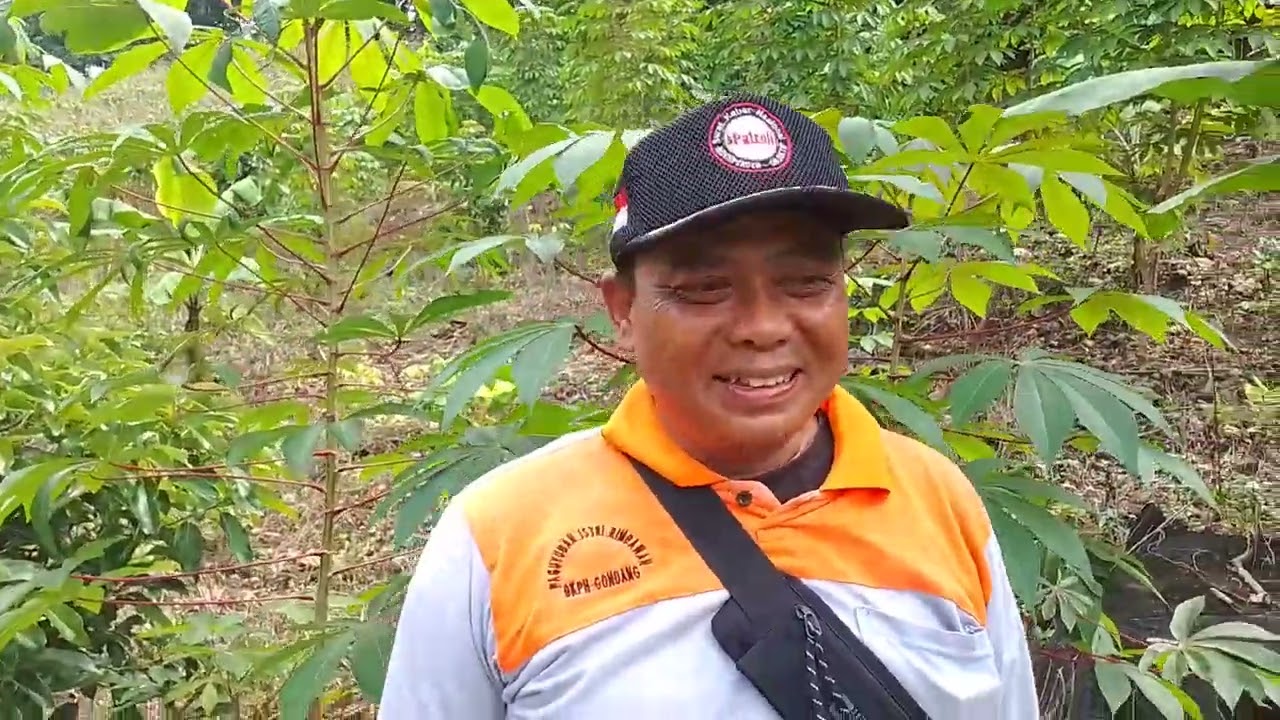 Kewajiban Utama (KRPH Dodol BKPH Gondang KPH Bojonegoro:Yth.Bapak H.), Menjaga Meskipun Berpencar.