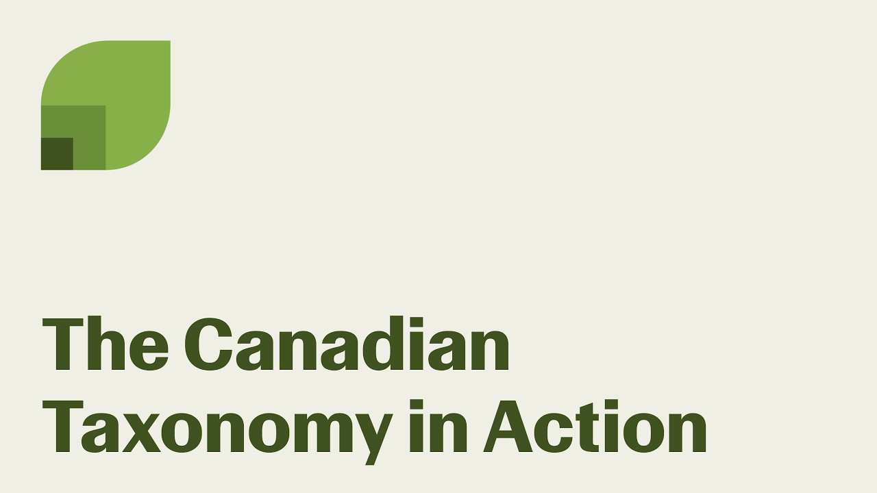 Capitalizing on clarity: The Canadian taxonomy in action
