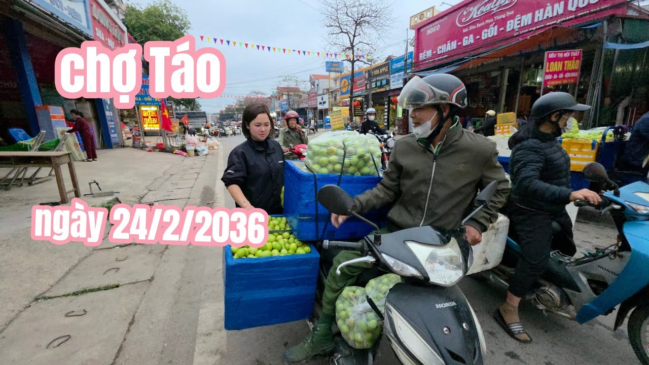 Cập Nhật Giá Táo Mới Nhất Hôm Nay 24/3/2026 Tại Biển Động Bắc Ninh