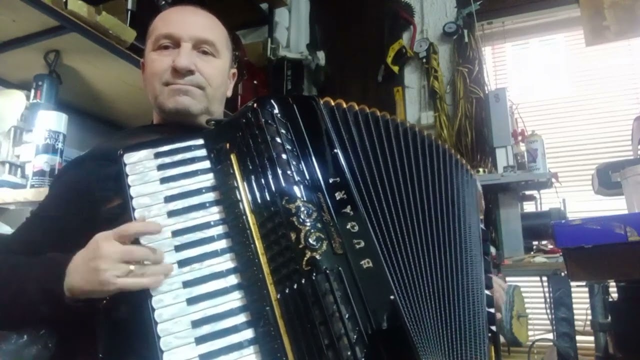 Servis harmonika Dane Loznica +38164 420 5721