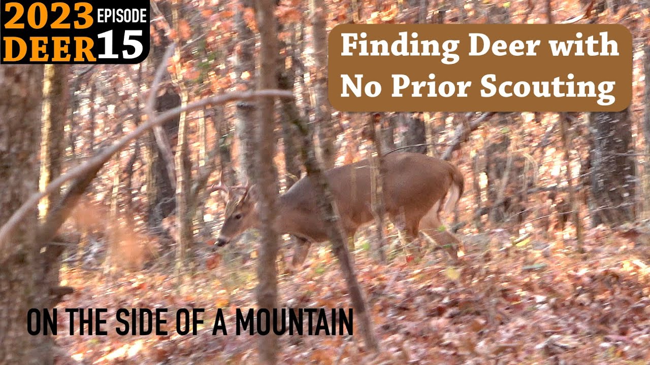 Big Woods Mountain Hunting with the 30-30