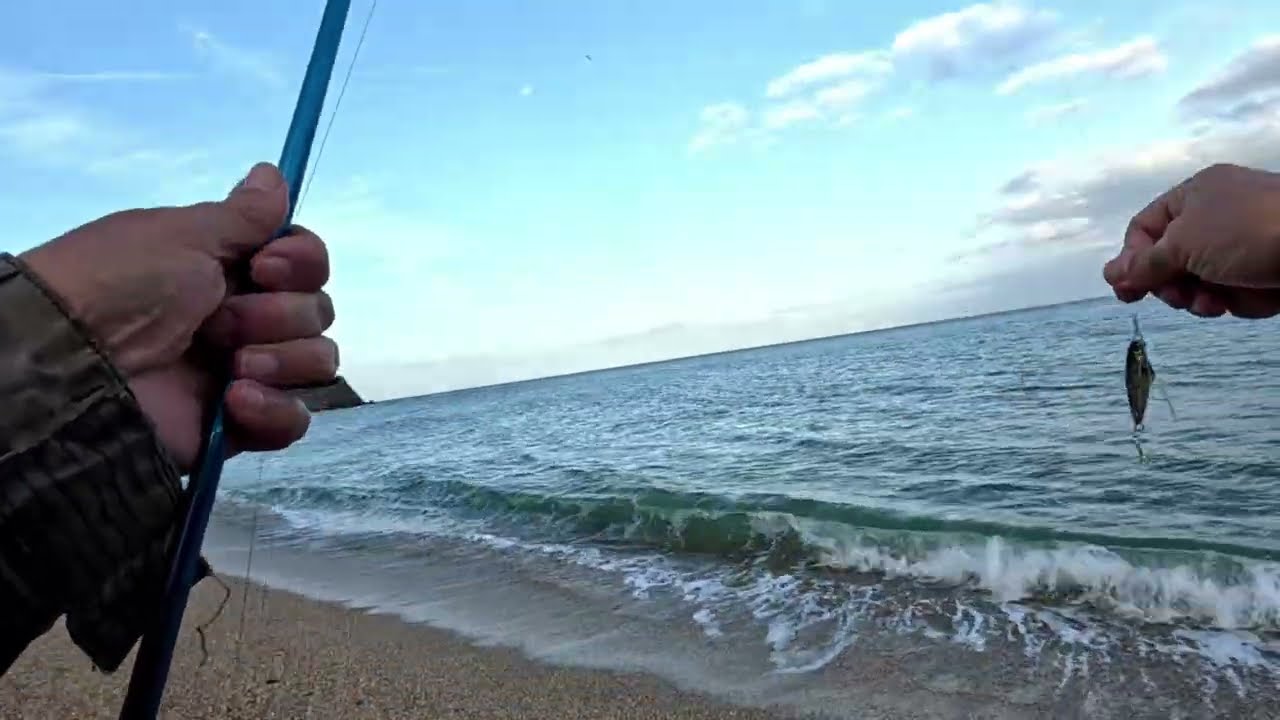Lure Fishing, Blackpool Sands Devon.