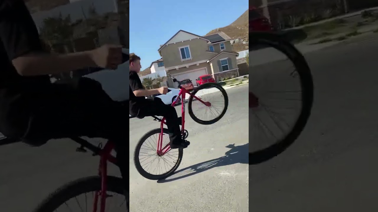 How Many Spins? #goon #wheelie #throne #fixedgear #howtowheelie #bike #bikelife #barspin