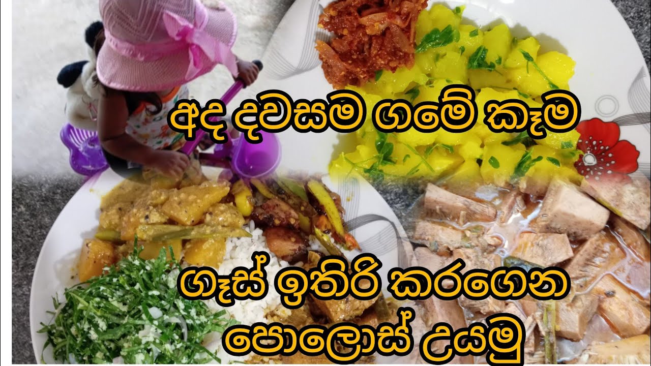 🧆අද දවසම ගමේ කෑම. රසට හැදුව බටානා කරිය/ ගෑස් ඉතිරි කරගෙන පොලොස් මෙහෙම උයමු. 👩‍🍳#viralvideo #cooking 