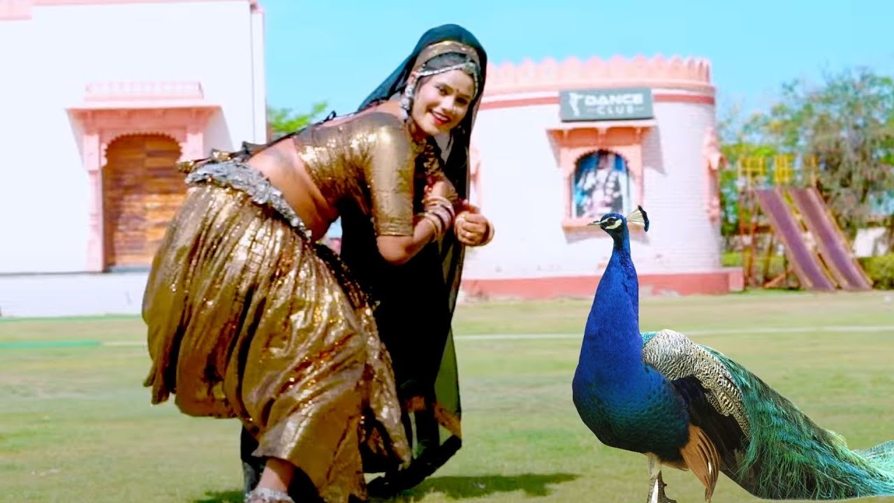 अब हिलेगा पूरा राजस्थान #पायल रंगीली के डान्स ने तो घायल ही कर दिया छक्के छुड़ा दिये सब के ये डांस