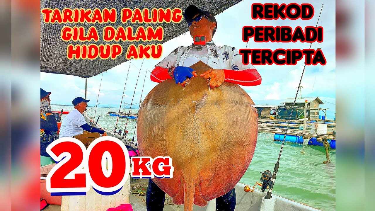 IKAN PARI 20kg SANGKAR KUALA GULA SYURGA PEMANCING