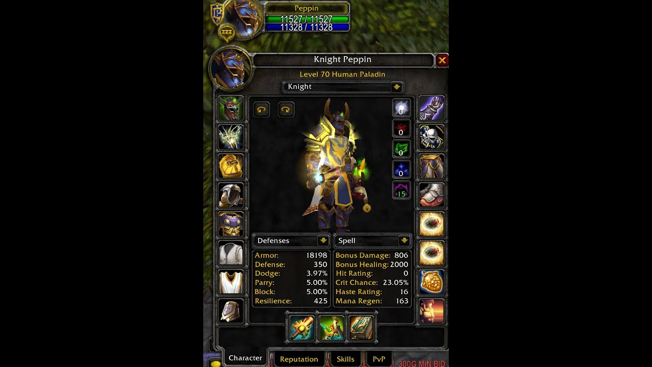 How to PVP with Holy Paladin TBC