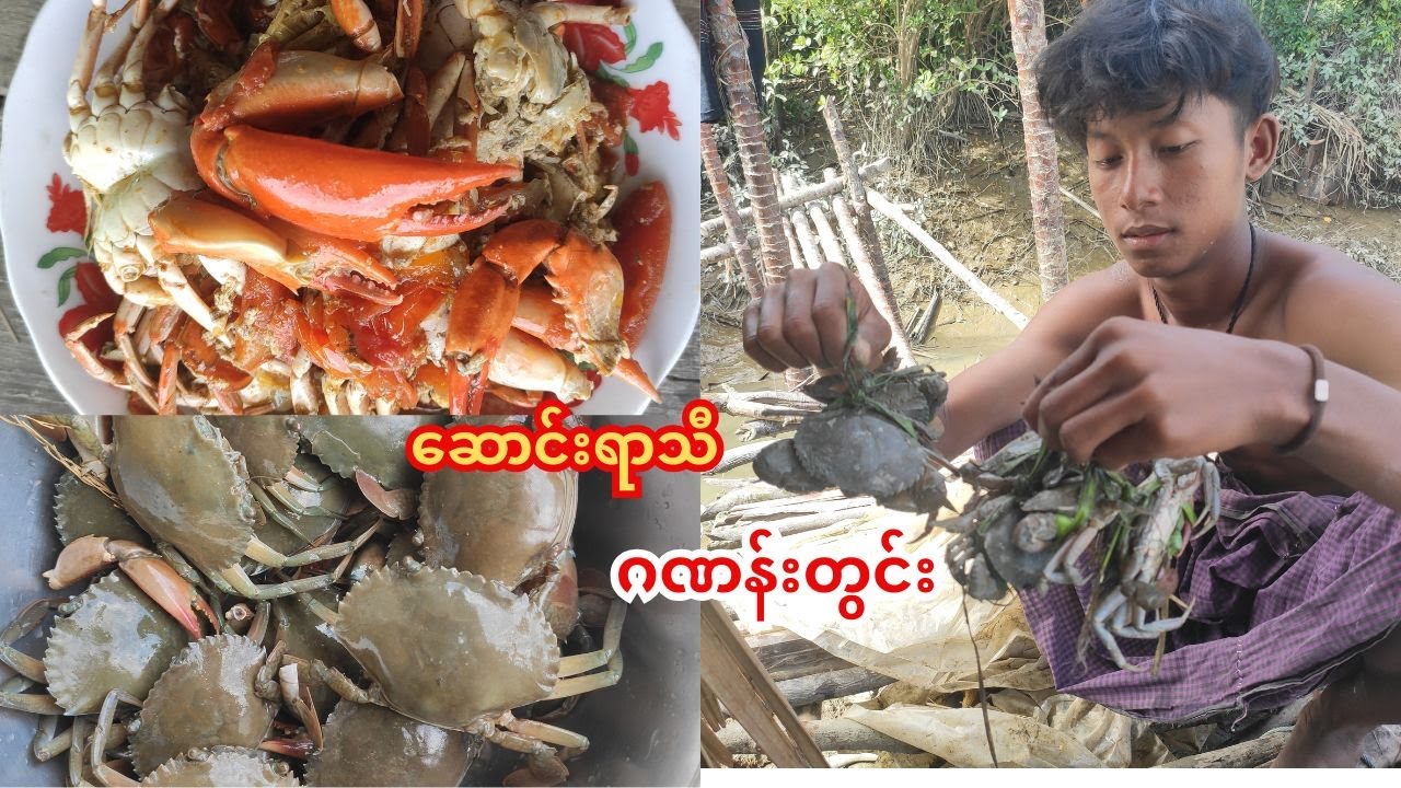 ဆောင်းရာသီဂဏန်းတွင်း ဂဏန်းခရမ်းချဉ်သီးချက် အရမ်းစားကောင်းတဲ့ ဟင်းတစ်ကွက်